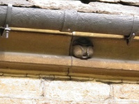 Sutton Benger - photo: 00026